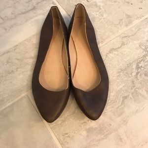 Brown Flats